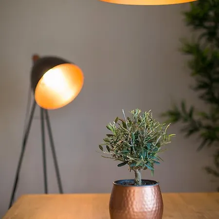 Dream Istria 波雷奇