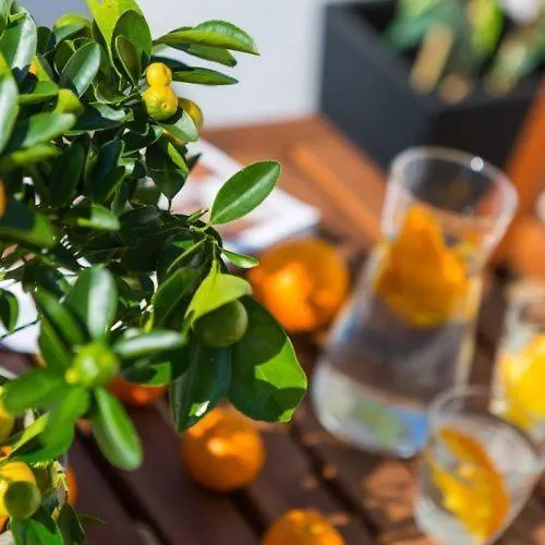 Dream Istria * Poreč